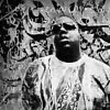 BklynBigPoppa