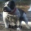 BigBully001