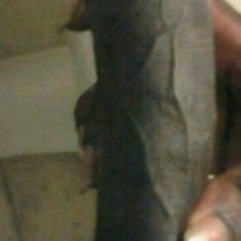 Selfmadeyoungin26