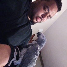 Blkpr88