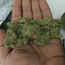 Mrkush