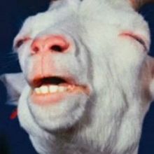 LordSilence