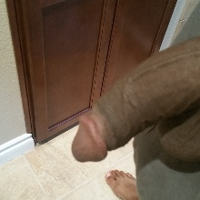 Dingo7611