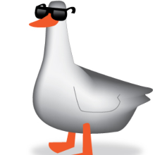 sillygoose24