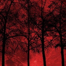Redholiday