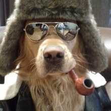Bucwylde