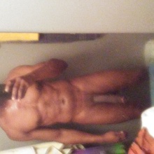 pittbull303