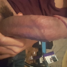 zolo95