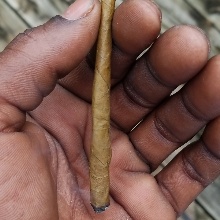 Phoenix2145