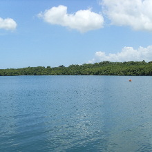 IslandKingGeorge