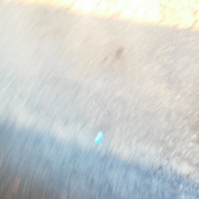 Truckdriverdick