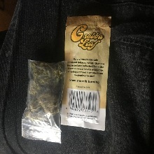 Cashseason7