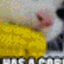 shig