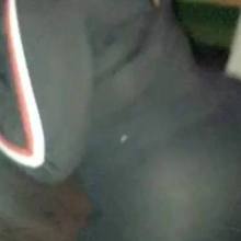 Lando37