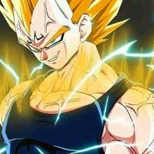 Vegeta13
