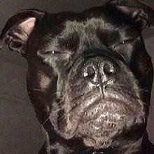 Tragicc
