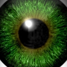 dosgreeneyez