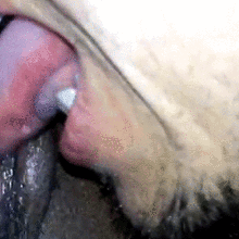 1hornywhiteguy