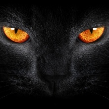 afrikhanblaq