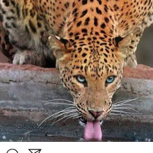 Latoya45
