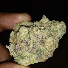 Ezgang36