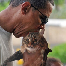 ObamathatCat