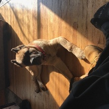 Killa