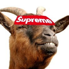 ThotLord