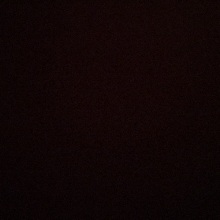 Leecam