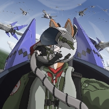 topgun213