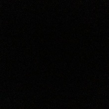 KALICOE33