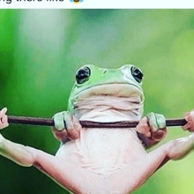rob123456789