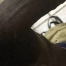 lulfreaky843