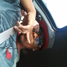 TLWARD
