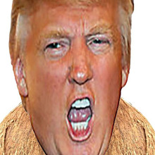 toococonuty