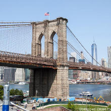 Brooklynest