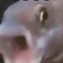 cuccojiro