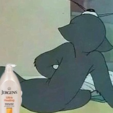 MEHRVIDS