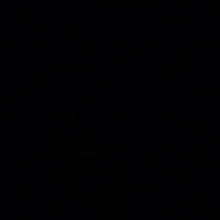 Kvngdrew16