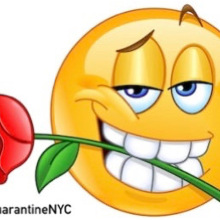 mrQuarantineNYC