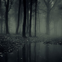 TheCursedOne