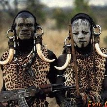 Dbo74