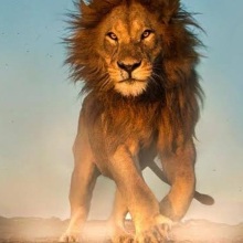 Ranjith