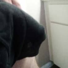 Looongcock210