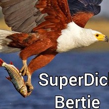 Superdickk