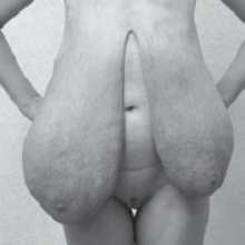 dbelcher