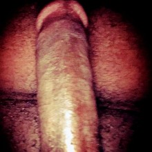 Tallbrown1