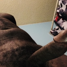 Dixk94