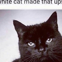 shasimplelife