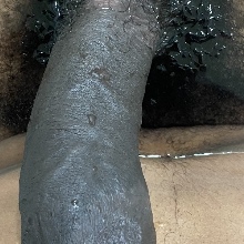Beeda21